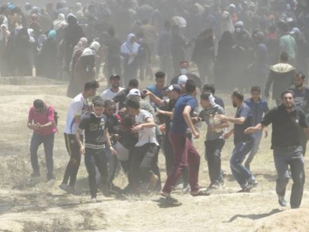 pchr-200518.jpg Pchr 200518