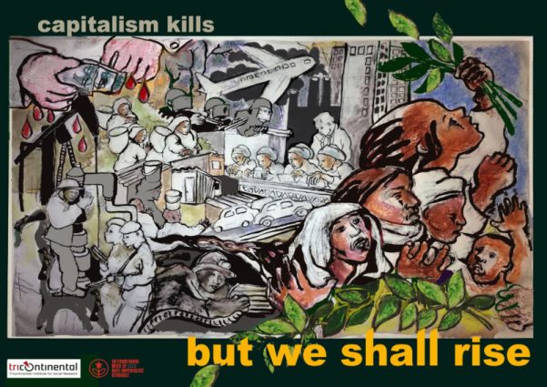 Judy Ann Seidman.jpg Judy Ann Seidman