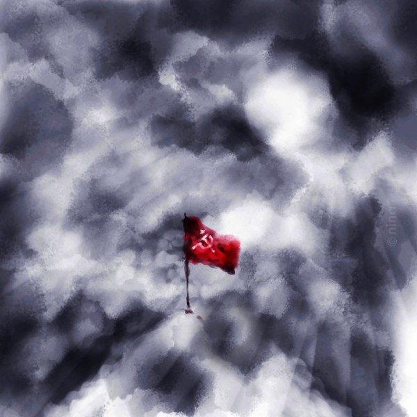 Nipin Narayanan Flag in the Storm 2016 1