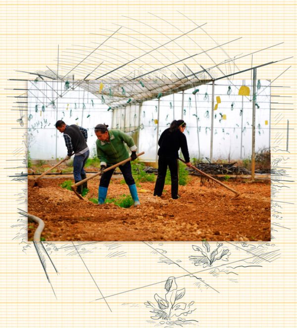 3 Poverty alleviation theory and practice e1628102399561