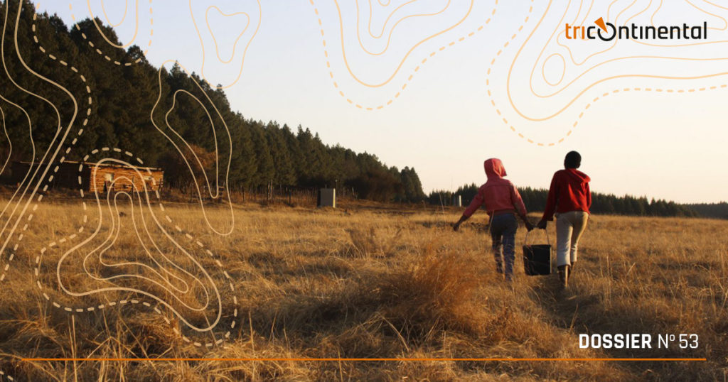 20220606 D53 EN TT 1024x538