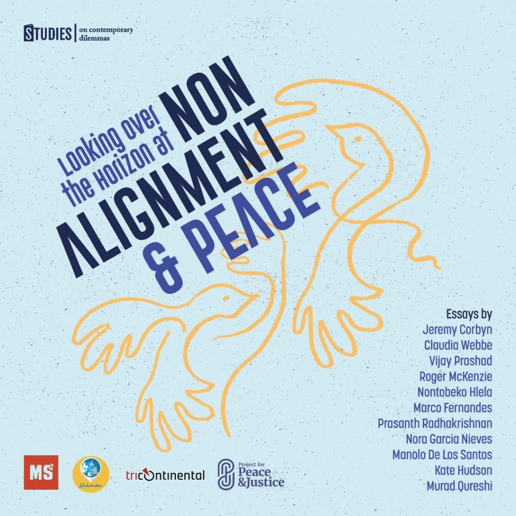 SDC 02 EN IG 1024x1024