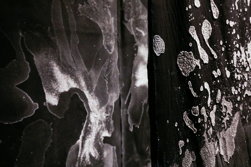 Balqis Al Rashed Saudi Arabia Cities of Salt 2017