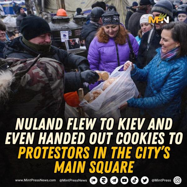 Nuland 3